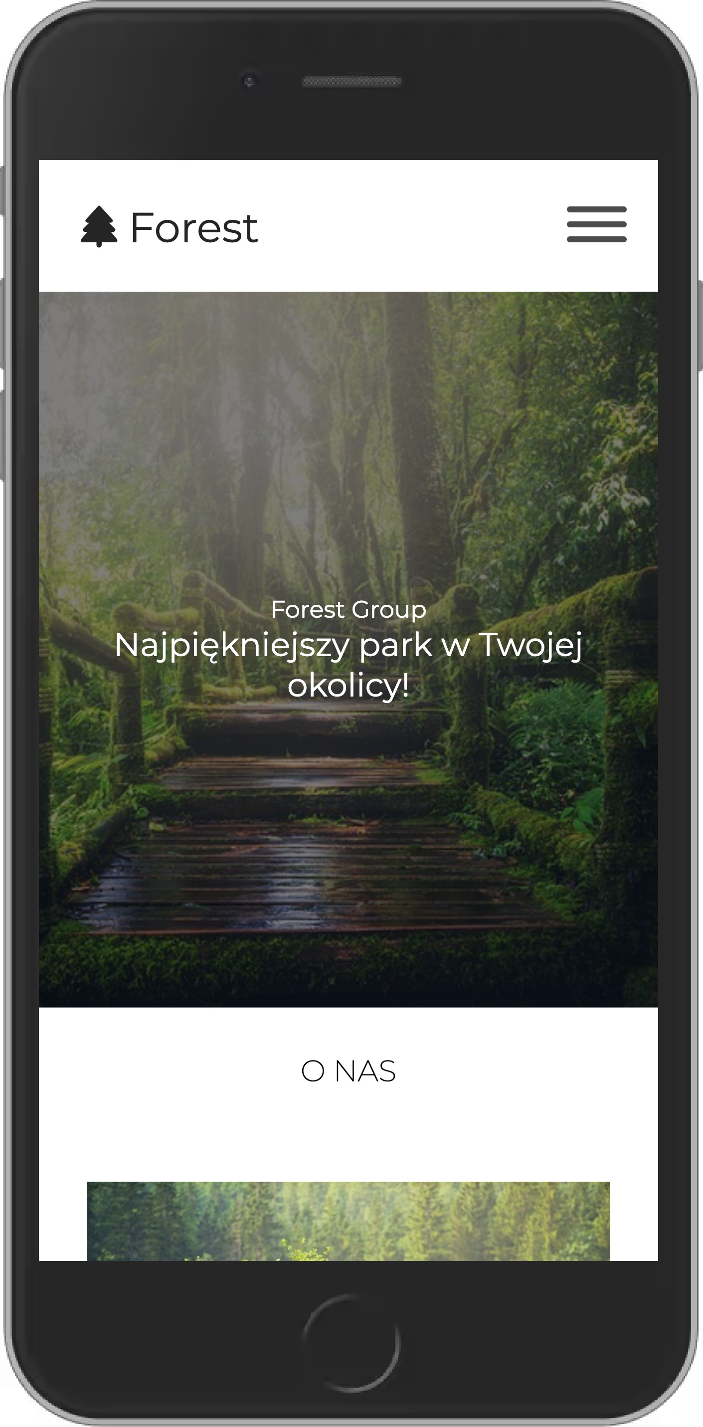 zdjęcie strony głównej firmy Forest-Group-website
